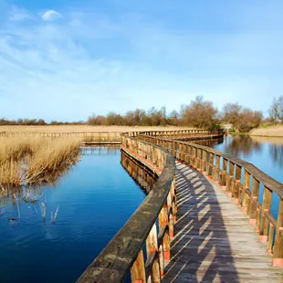 Tablas de Daimiel, Parque Nacional de aves y agua